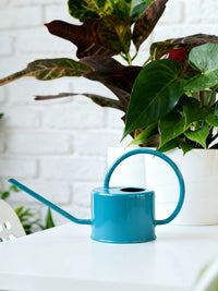 Long Spout Watering Can for Indoor Plants & Garden, 1L Stainless Steel Handle