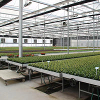 Galvanized Rolling Bench for Greenhouse Hydroponics and Seedling Cultivation