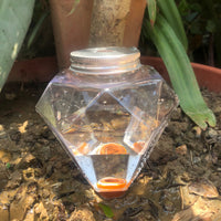 Self-Watering Plant Spikes for Indoor/Outdoor Potted Plants - Automatic Drip Irrigation System