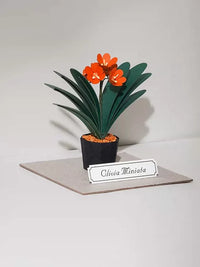 Jeancard 3D Laser-Cut Clivia Paper Model Kit