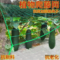 Heavy-Duty Plant Trellis Netting for Climbing Vegetables and Fruits