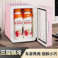 Portable Mini Car Home Refrigerator Warmer for Skincare and Food
