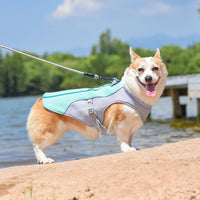 Pet Cooling Vest for Dogs, Breathable Summer Heat Relief Shirt