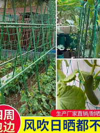 Plant Trellis Netting for Climbing Fruits and Vegetables