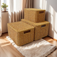 Hand-Woven Rattan Storage Basket with Lid, Rectangular Desktop Organizer for Home