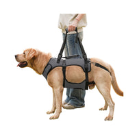 Dog Full Body Support Harness for Post-Surgery Recovery and Joint Care