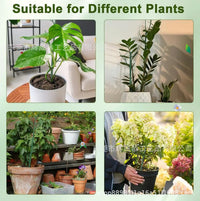 5-Pack Plant Support Stakes for Home Garden Green Plants