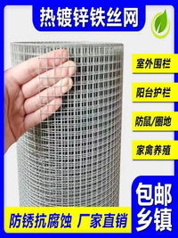 Galvanized Steel Wire Mesh for Poultry Fencing, Garden Barrier, Plastering, and Cages