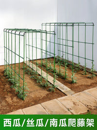 Heavy-Duty Coated Steel Plant Trellis for Climbing Vegetables and Flowers