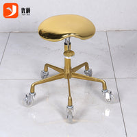 Hair Salon Swivel Stool with Wheels, Adjustable Hydraulic Barber Chair for Stylists