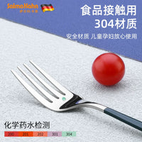 304 Stainless Steel Portable Cutlery Set with Case for Office & School