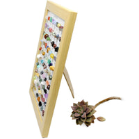 80-Specimen Mineral Crystal Collection Frame for Geological Education