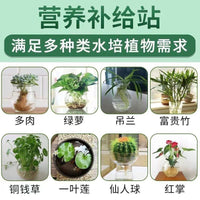 Aquatic Plant Water Purifying Tablets for Odor Removal, Sterilization, and Freshness
