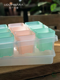 Semi-Transparent Square Plastic Planter with Drainage Tray for Succulents and Seedlings