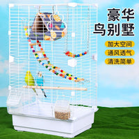 Large Luxury Bird Cage for Parrots, Cockatiels, Peonies, and Pearl Birds
