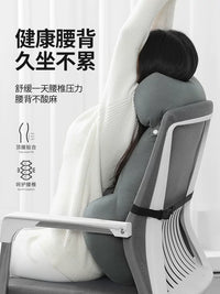 Ergonomic Lumbar Support Cushion for Office Chair, Pregnancy, and Extended Sitting