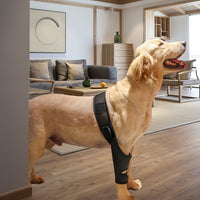 Pet Dog Leg Brace for Injury Recovery, Front/Rear Leg Support for Fractures and ACL, Canine Knee Protector