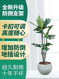 Plant Support Stakes with Clips and Ground Plugs for Potted Plants and Climbing Vines