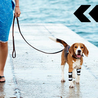 Reflective Dog Knee Brace Leg Joint Protector for Large Dogs
