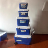Portable Insulated Cooler Box for Outdoor, Car, Home, and Commercial Use - Keeps Food and Drinks Cold