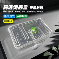 Amphibious Reptile Habitat with Lid for Frogs, Turtles, Crabs, and Salamanders