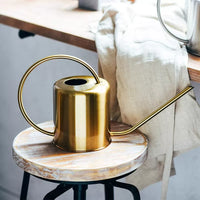 Stainless Steel Long Spout Watering Can for Indoor Plants
