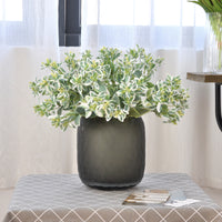 Artificial Silver-Edged Greenery Plant for Home & Hotel Decor