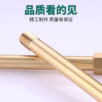 Brass Male/Female Thread Extension Rod for Mold Water Nozzle Pneumatic Temperature Machine