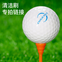 Golf Swing Trainer and Putting Practice Aid