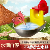 Stainless Steel Automatic Poultry Waterer for Chickens, Ducks, Quails