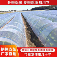 Fiberglass Greenhouse Hoops for Garden Netting and Plant Support