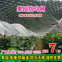 Durable Anti-Bird Netting for Fruit Trees, Gardens, and Ponds - UV Resistant Nylon Mesh Protection