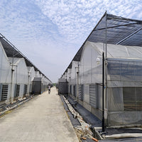 Multi-Span Greenhouse Kit with Smart External Shading & Internal Insulation for Vegetables