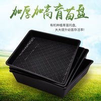 Square Succulent Seedling Tray Plastic Plant Pot Organizer