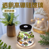 Borosilicate Glass Desktop Ecosystem Bottle with LED Light Hydroponic Vase Micro Landscape Fish Tank
