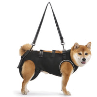 Pet Mobility Aid Harness for Injured, Disabled, or Senior Dogs