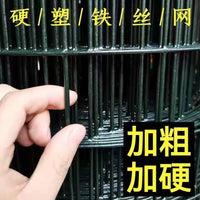 Heavy-Duty Nano-Plastic Coated Steel Wire Mesh Fence for Poultry, Fish Ponds, and Agricultural Enclosures