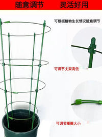 Telescopic Plant Support Trellis for Climbing Plants, Moonflower, Rose, Orchid, Pothos, Balcony Greenery