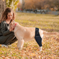 Dog Leg Brace for Injury Recovery - Front/Rear Leg Support for Fractures & ACL