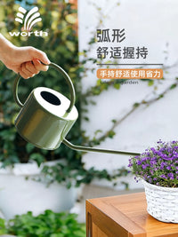 Long Spout Watering Can for Indoor Plants & Garden, 1L Stainless Steel Handle