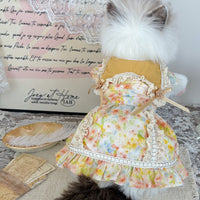 Pet Princess Dress with Ruffle Trim and Irregular Hem in Ginger Yellow