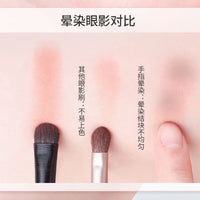 Soft Bristle Eyeshadow Brush Set for Blending, Eyeliner, and Detail Eye Makeup with Travel Case