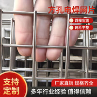 304/316 Stainless Steel Welded Wire Mesh Panels for Protection and Fencing