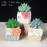 Hand-Painted Ceramic Succulent Planter Pots for Indoor Plants