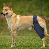 Dog Leg Brace for Injury Recovery - Front/Rear Leg Support for Arthritis, ACL, and Splint Protection