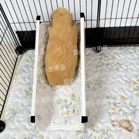 Guinea Pig Rabbit Hamster Ladder Platform Mat for Small Pets, Second Floor Running Parkour Ladder Fence