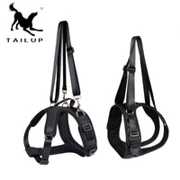 Pet Support Harness for Injured, Disabled, or Elderly Dogs and Cats - Front/Rear Leg Assist