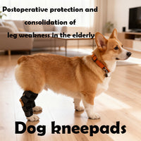 Dog Leg Brace for Injury Support and Protection