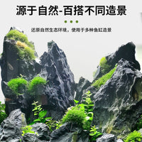 Natural Aquascape Stone for Fish Tank Decoration, Acid-Washed Qinglong Stone & Layered Stone