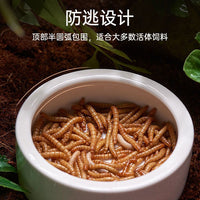 Ceramic Reptile Feeding Dish for Geckos, Lizards, and Small Pets - Escape-Proof Mealworm and Dubia Roach Bowl